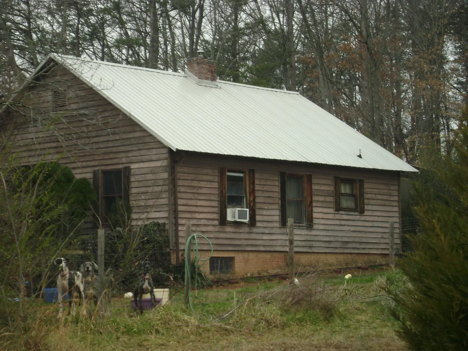 White metal roof on an old wood sided farmhouse, from a Asphalt Shingle Roof Repair job in Hilham